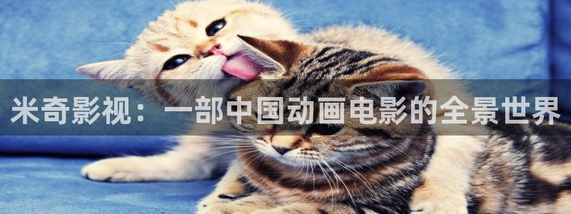 琪琪影院在线播放
