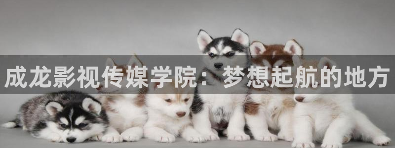 琪琪成年影院